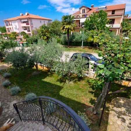 Ana M Apartments Novigrad Istria 外观 照片